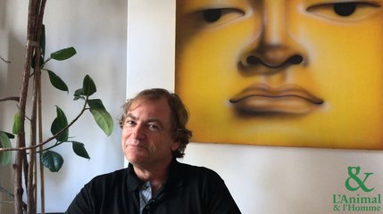 Interview 4 de Didier Van Cauwelaert : Peut-on sauver les abeilles ?