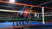 Muay Thai Gala / Abidjan Thai Fight