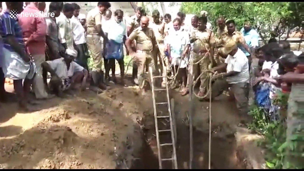 Firefighters rescue giant crocodile from garden pit in India