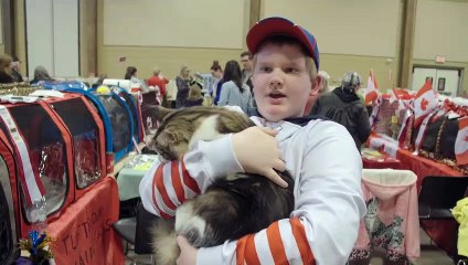 CATWALK: Tales From the Cat Show Circuit - Official Trailer