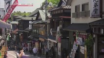 [sub] TOKYO EYE 2020; Narita; A Taste of Traditional Japan