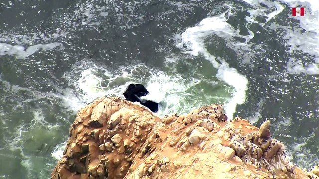 Landscape of the day - Étape 1 / Stage 1 (Lima / Pisco) - Dakar 2019