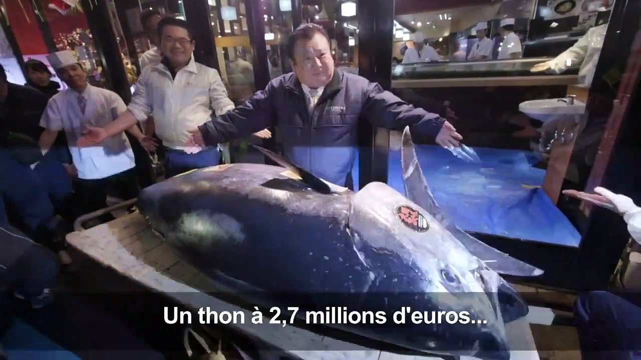 Un thon s'est vendu 2,7 millions d'euros aux enchères au Japon
