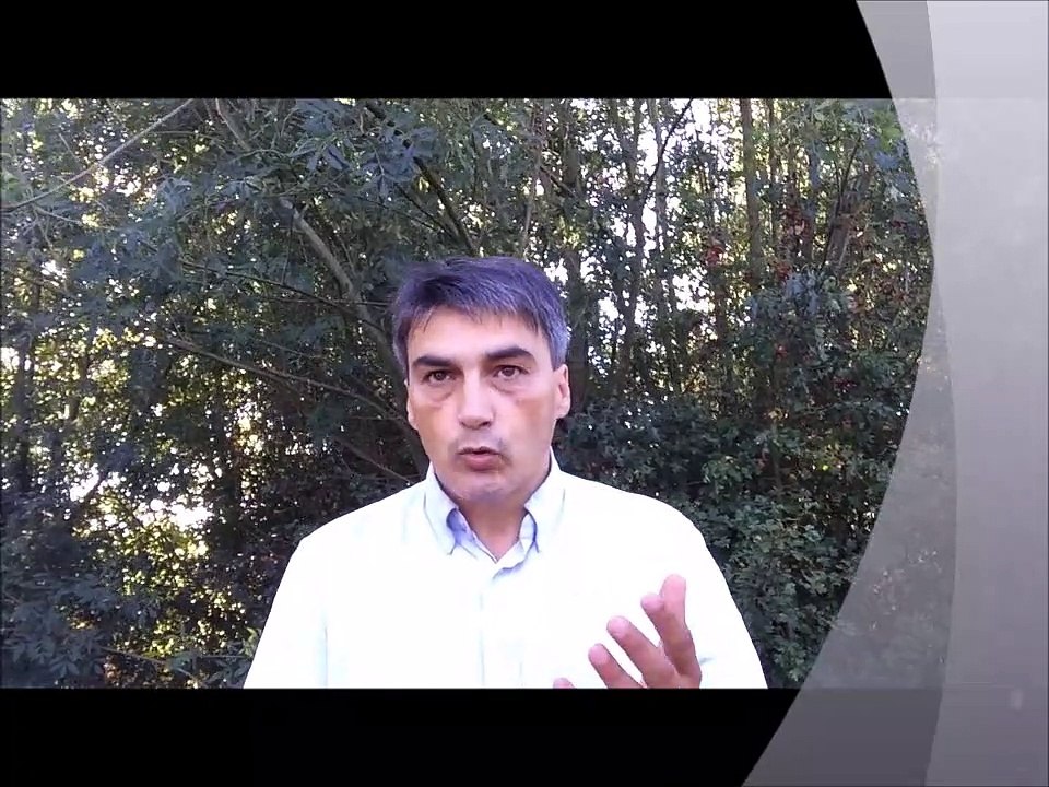 Le concept de consensus