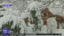 [이 시각 세계] 독일 남부·오스트리아 알프스 곳곳 '눈사태'
