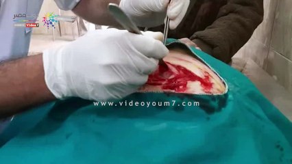 جولة داخل أكبر مستشفى بيطرى فى الصعيد