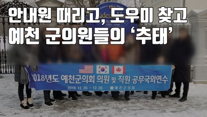 [자막뉴스] 안내원 때리고, 도우미 찾고...예천 군의원들의 '추태' / YTN