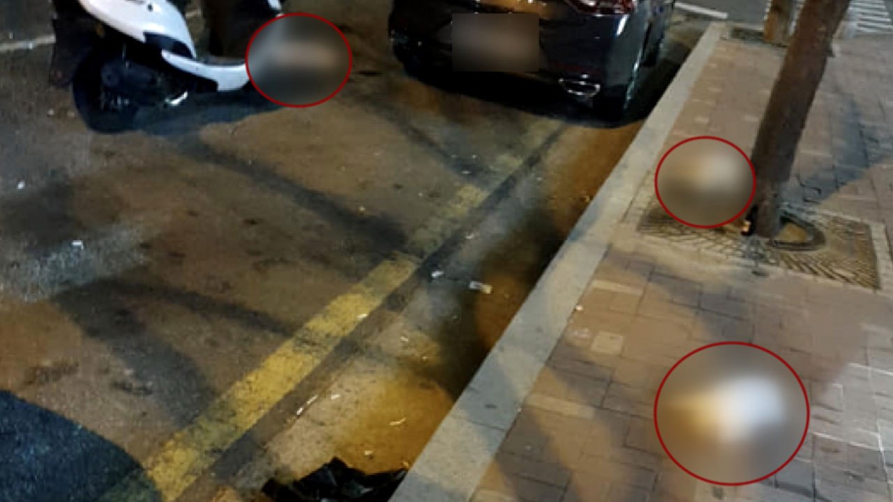 강아지 3마리 추락사...동물 학대 의심 / YTN