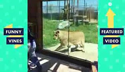 TRY NOT TO LAUGH Cute Kids & Pets Funny Videos January 2019