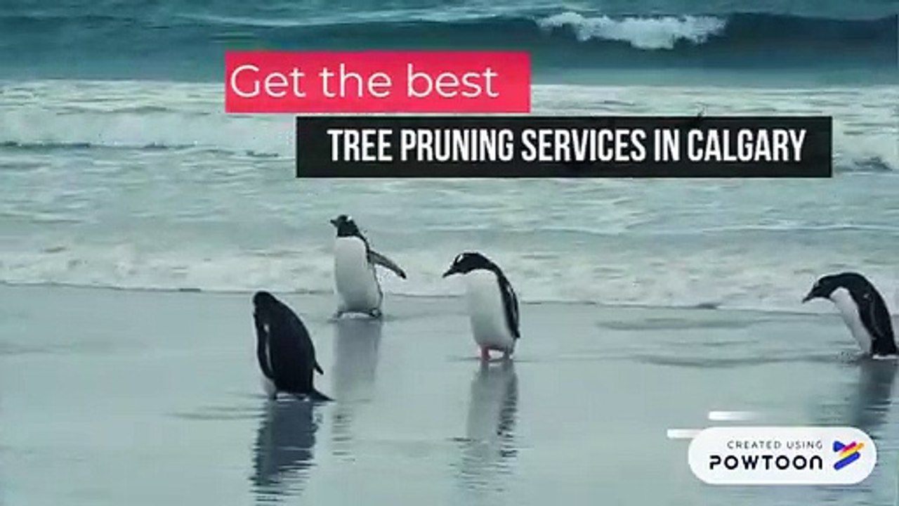 Tree Pruning Services Calgary