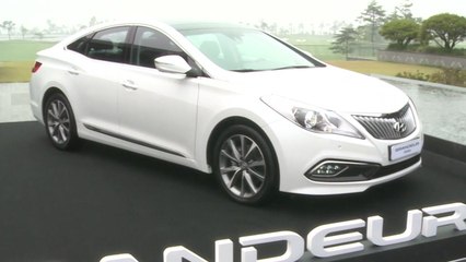 그랜저 경유차 등 3개 차종 7만8천 대 리콜...배출가스 계통 결함 / YTN