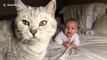 This baby gets super excited around the household's cats