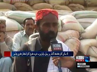 Pir Jo Goth  Kanik (Wheat)  Kharab -8th January 2019