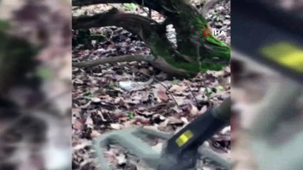 Siirt'te teröristlere ait mühimmat ele geçirildi