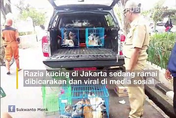 Viral Razia Kucing di Jakarta