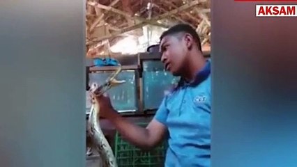 Şov yaparken kafasını yılana kaptırdı