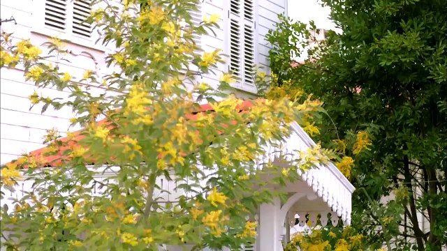 Korkut, Gönül'ü takip ediyor - Bir Aşk Hikayesi 2. Bölüm