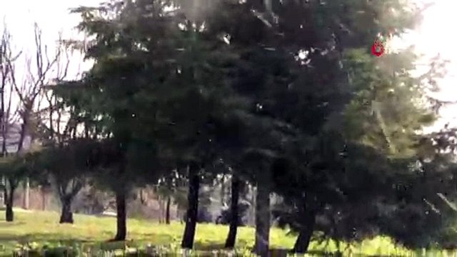 İstanbul'da Şaşırtan Manzara...Kar Yağışı ve Güneş Bir Arada