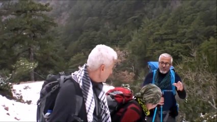 Dereköy Mahmut Dağı -D