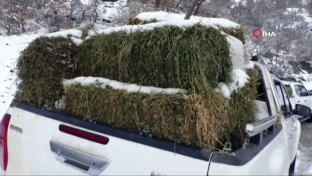 Tokat’ta yaban hayvanları için doğaya yem bırakıldı