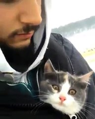 Ağaçta mahsur kalan kediyi kurtardılar