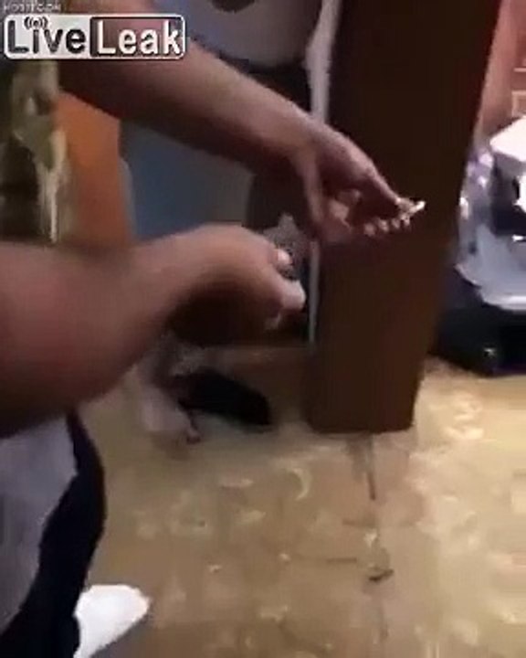 Torpili g*te sokma şakası