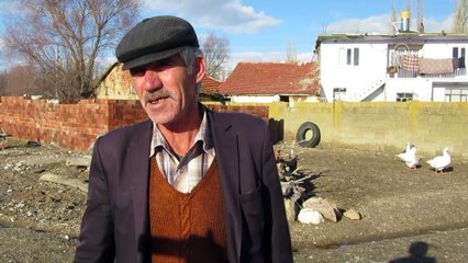 Bu köyde 3 asırdır dededen toruna kaz yetiştiriliyor - AFYONKARAHİSAR