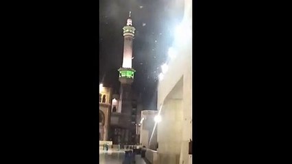 حقيقة ظهور أسراب الجراد في السعودية.. السبب علمي