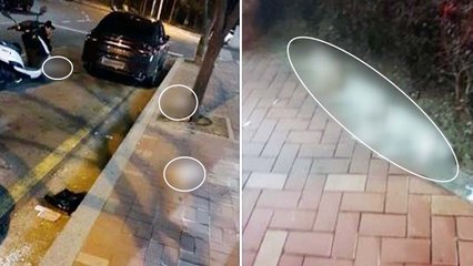 고층 오피스텔서 강아지 3마리 추락사...20대 여성 체포 / YTN