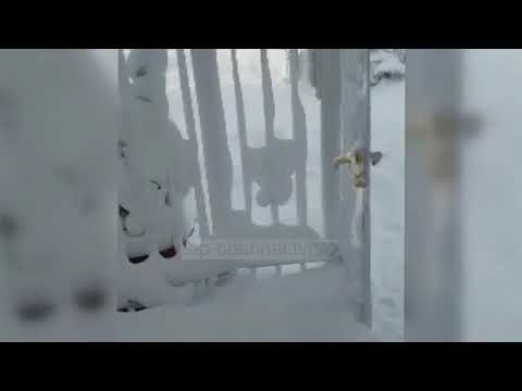 Pa Koment - “Telemaku” zbardh Greqinë - Top Channel Albania - News - Lajme