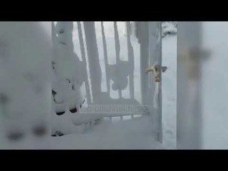 Pa Koment - “Telemaku” zbardh Greqinë - Top Channel Albania - News - Lajme