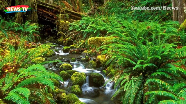 Huyền thoại về loài rắn khổng lồ trên hòn đảo có 99 ngọn núi