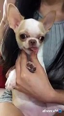 구리출장마사지// Ö1Ô↔5762↔6631 { 카톡we503 }'20대'구리출장안마 구리출장안마 출장안마코스 구리출장안마 구리출장업소 구리출장마사지- 구리콜걸.