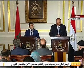 سامح شكرى يدعو سوريا لاتخاذ خطوات للعودة إلى الجامعة العربية