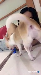 구미출장마사지// Ö1Ô↔5762↔6631 { 카톡we503 }'20대'구미출장안마 구미출장안마 출장안마코스 구미출장안마 구미출장업소 구미출장마사지- 구미콜걸.