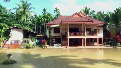 - Tayland Pabuk Fırtınasının Yaralarını Sarıyor