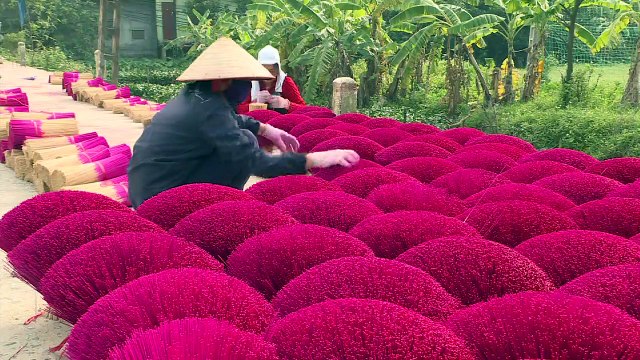 Au Vietnam, un village d'encens se prépare aux fêtes du Têt