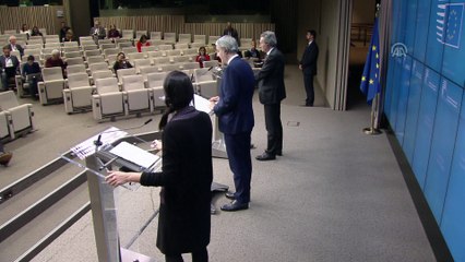 Romanya AB Bakanı Ciamba-AB Komisyonu üyesi Oettinger ortak basın toplantısı - BRÜKSEL