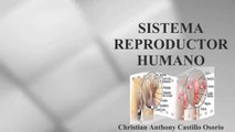 SISTEMA REPRODUCTOR HUMANO : DOCUMENTAL COMPLETO
