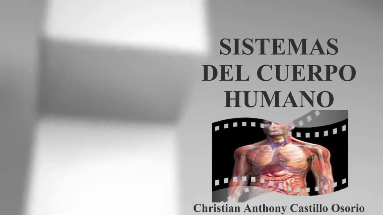 SISTEMAS DEL CUERPO HUMANO : DOCUMENTAL COMPLETO