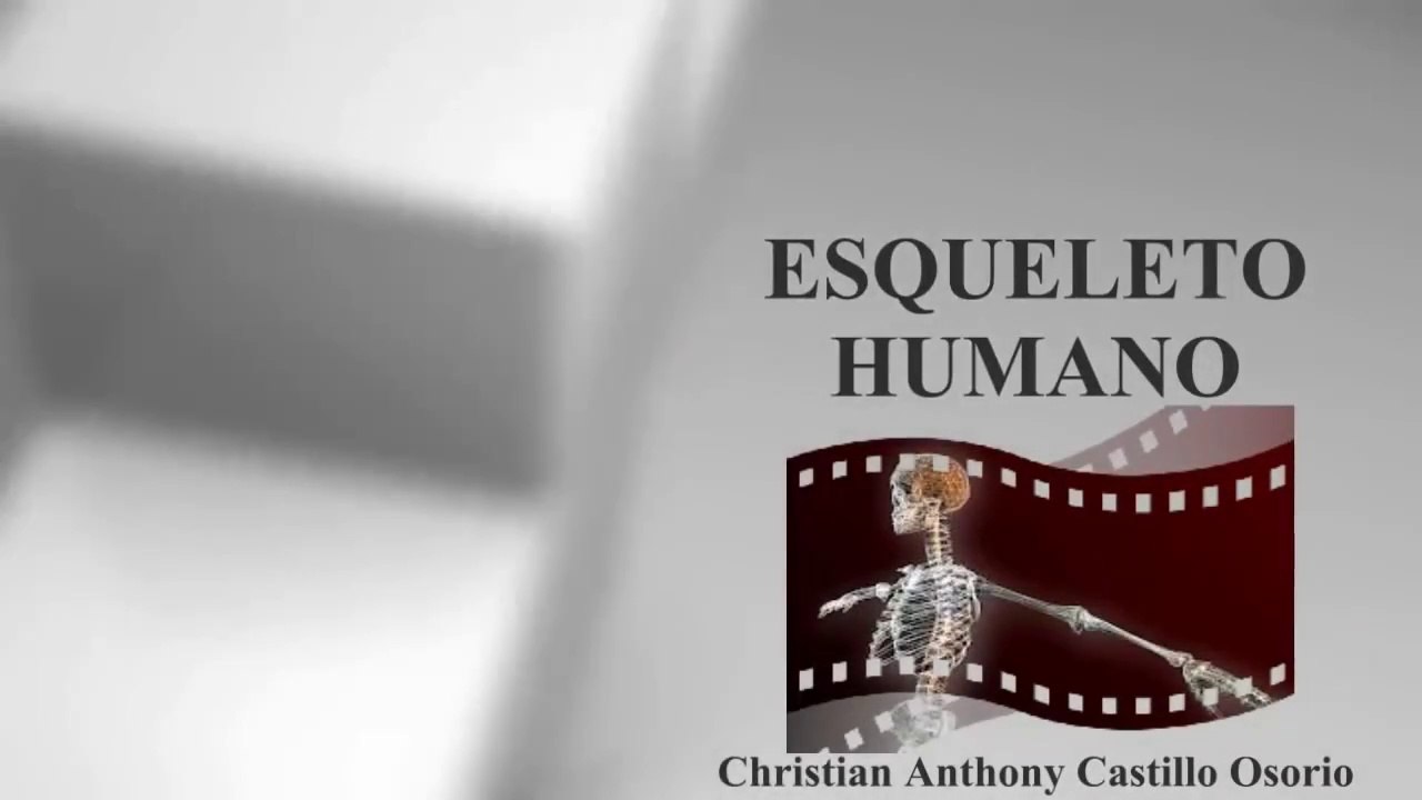 ESQUELETO HUMANO :  DOCUMENTAL COMPLETO