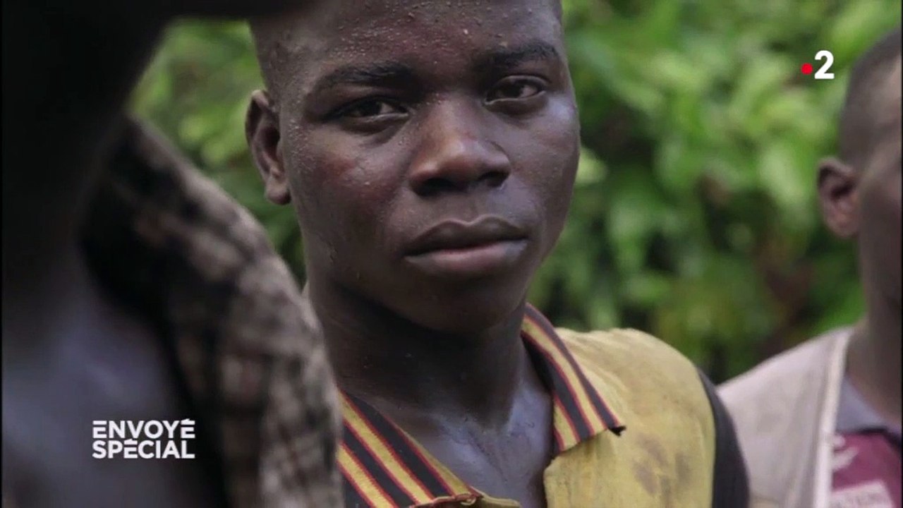 Des enfants prisonniers de la forêt, dans des plantations de cacao en Côte d'Ivoire