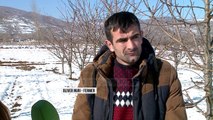 Fermerët dëmtohen nga fidanët - Top Channel Albania - News - Lajme