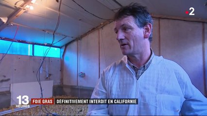 La Californie interdit définitivement le foie gras
