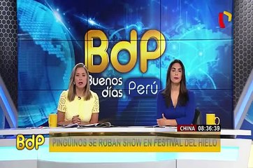 China: cristales de hielo toman formas de flores por bajas temperaturas