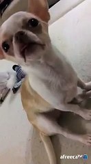 논산출장마사지// Ö1Ô↔5762↔6631 { 카톡fc81 }'20대'논산출장안마 논산출장안마 출장안마코스 논산출장안마 논산출장업소 논산출장마사지- 논산콜걸.