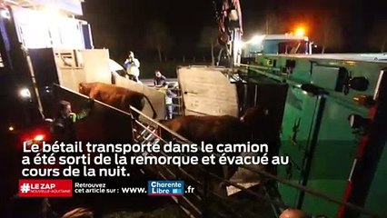 Le zap Nouvelle-Aquitaine