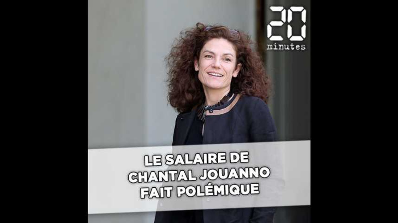 La rémunération de l'ex-ministre, Chantal Jouanno, en charge du «grand débat national», fait polémique