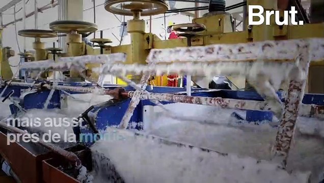 Bolivie : l'exploitation du Lithium pourrait provoquer l'assèchement d'une région