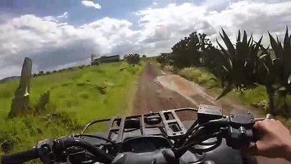 limpieza de ratas y pesado de presas para serpiente[1]